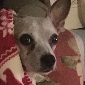 Meet your Posher, Maureen